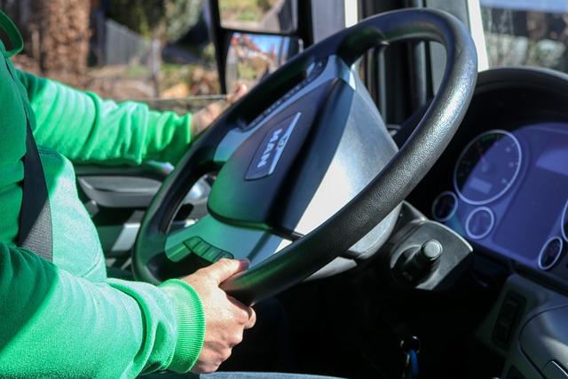 truck, driver, transport, traffic, vehicle, freight, vehicles, driver