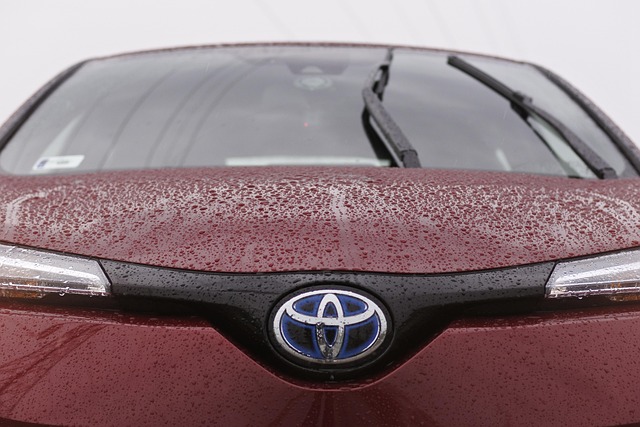 toyota, c-hr, hybrid, toyota, toyota, toyota, toyota, toyota